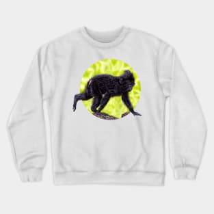 Baby Sulawesi crested macaque monkey Crewneck Sweatshirt